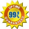 99.9% uptime windows reseller